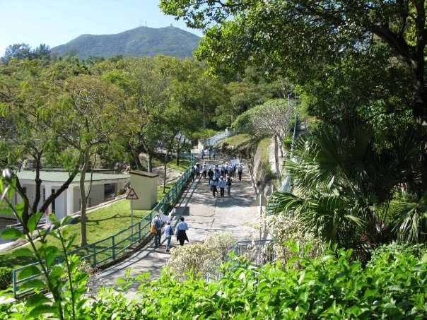 walkathon7
