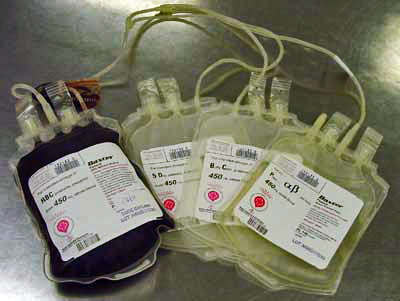 4_bags1