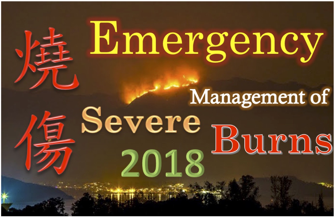 EMxofBurn2018