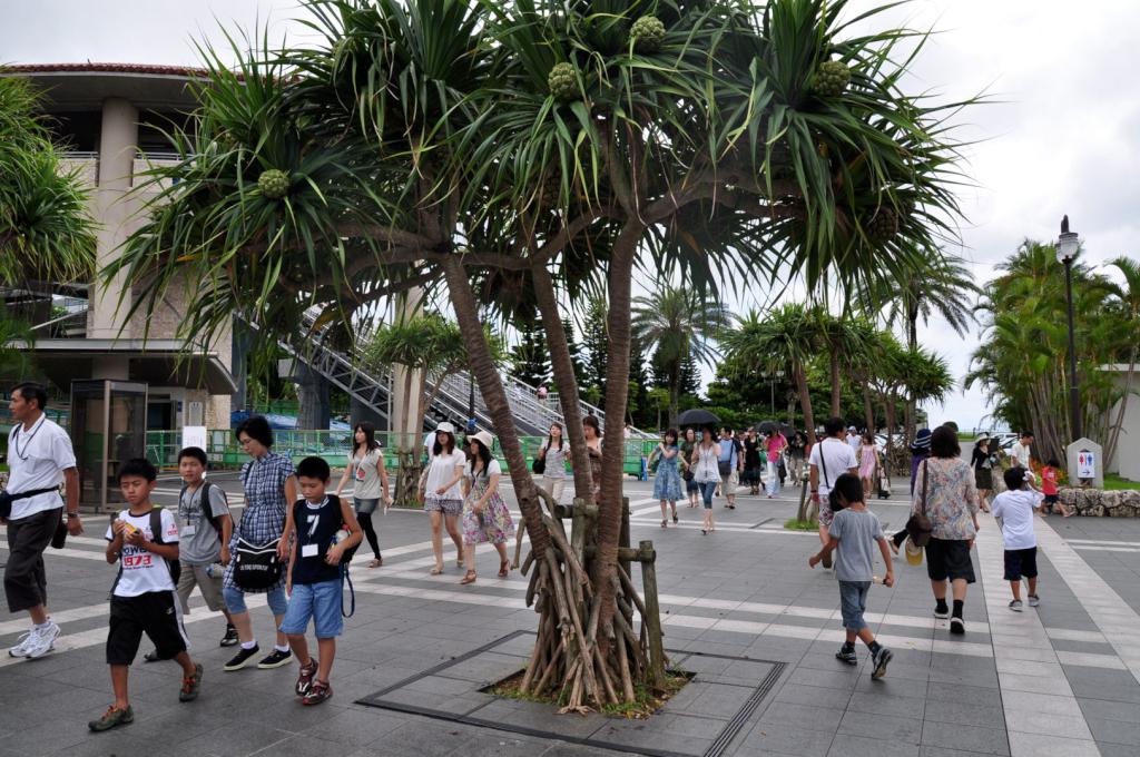 Ocean Expo Park