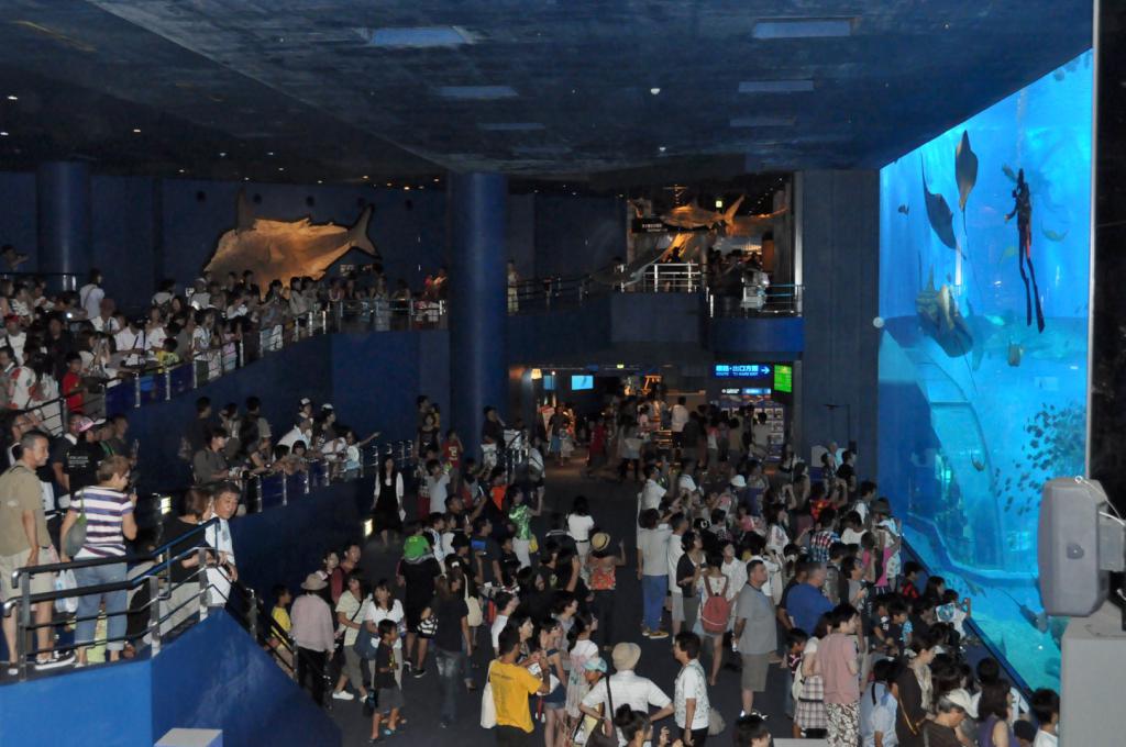 The Okinawa Churaumi Aquarium