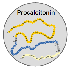 前降鈣素 (PROCALCITONIN, PCT)